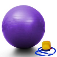 Purple Yoga Gym Fitness Pilates Fit Swiss Ball 75cm 