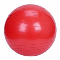 Red Yoga Gym Fitness Pilates Fit Swiss Ball 75cm 